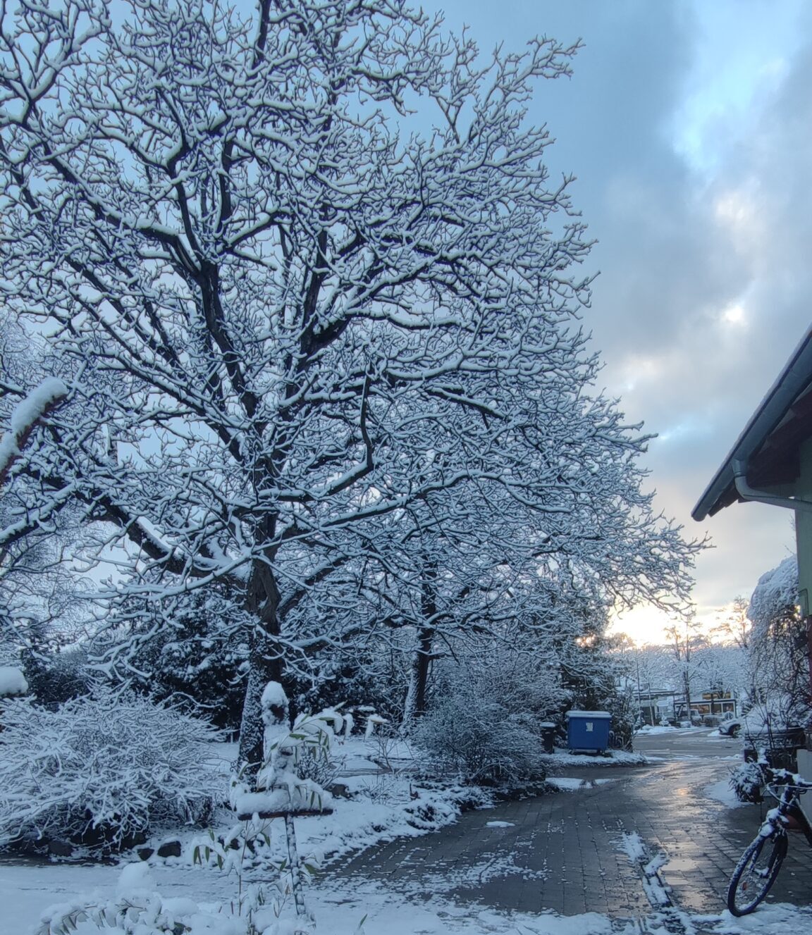 Newsletter Januar 2024